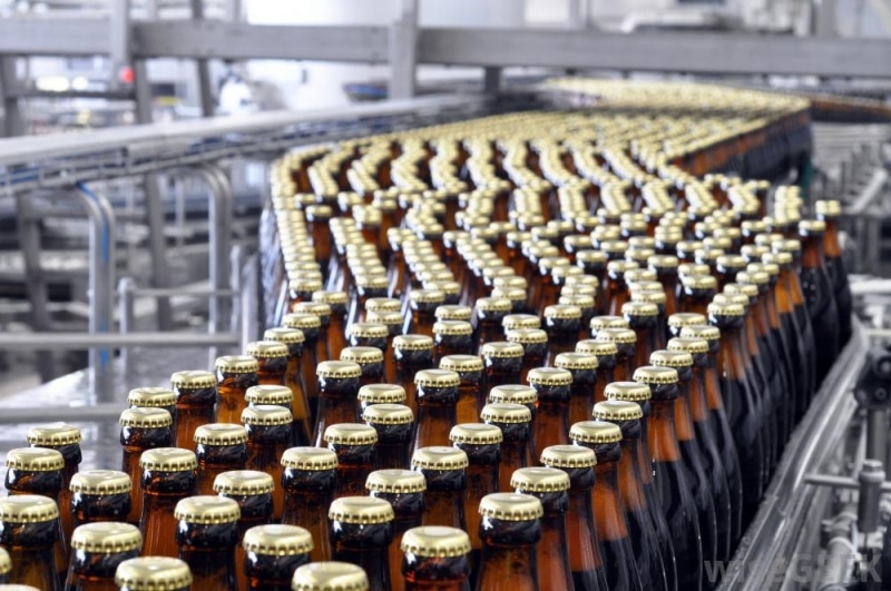 Производство пива в России осенью ускорилось