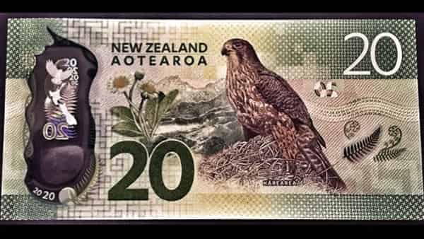 Форекс прогноз и аналитика NZD/USD на 5 ноября 2020
