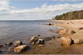 На берегу Финского залива нашли человеческую ступню