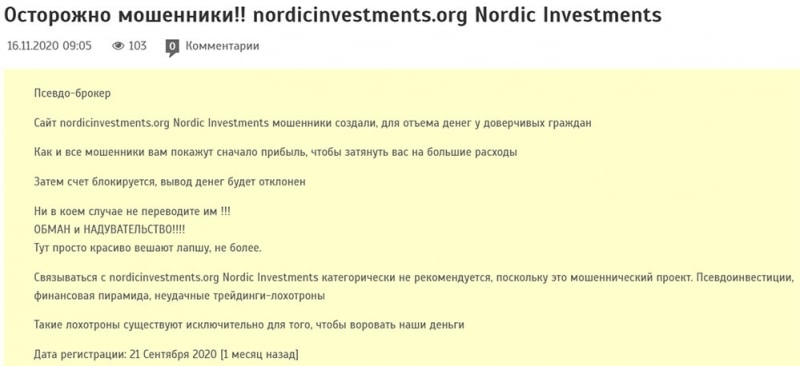 Что представляет собой Nordic Investments? Полный обзор конторы.