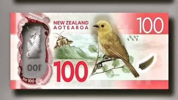 Форекс прогноз и аналитика NZD/USD на 4 декабря 2020