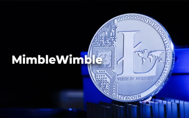 Код протокола MimbleWimble будет внедрен в Litecoin в первом квартале 2021 года 