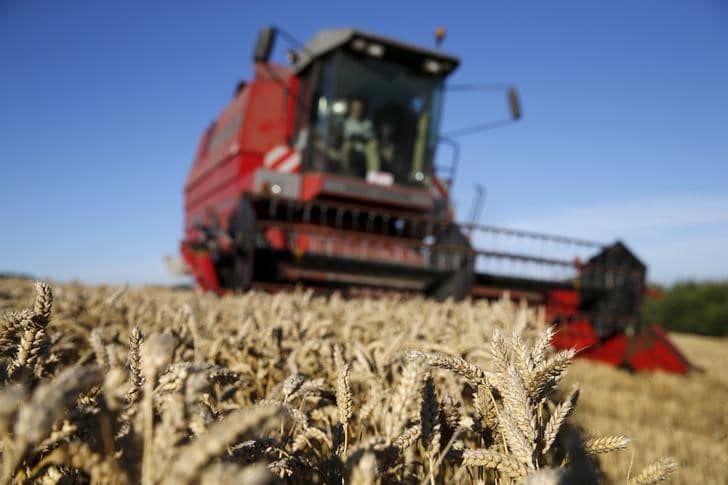 Россия увеличила сбор зерна в чистом весе в 2020 году почти на 10% - Росстат