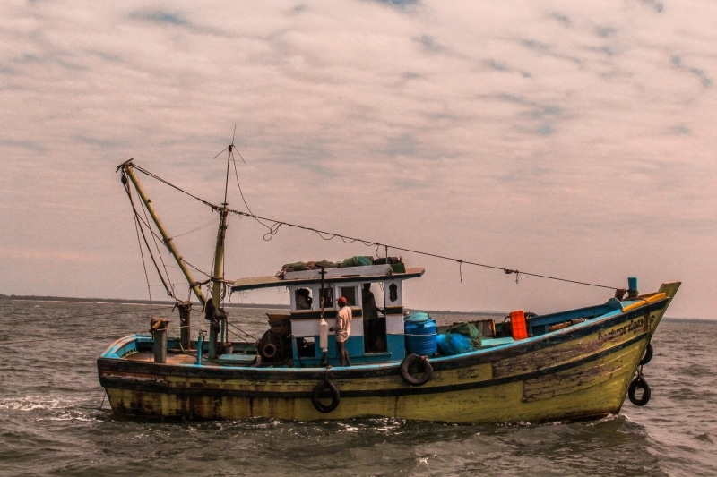 Украина потеряет весь свой рыбопромысловый флот в Юго-Восточной Азии и Западной Африке