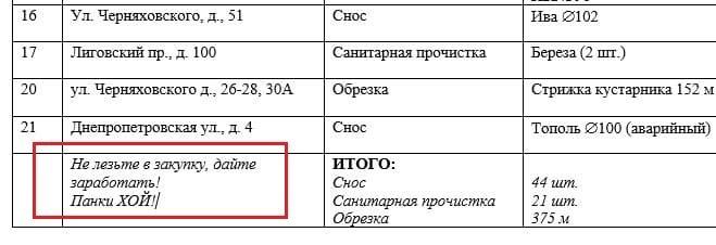 В Петербурге депутат нашел госзакупку с зашифрованным посланием «дать заработать»