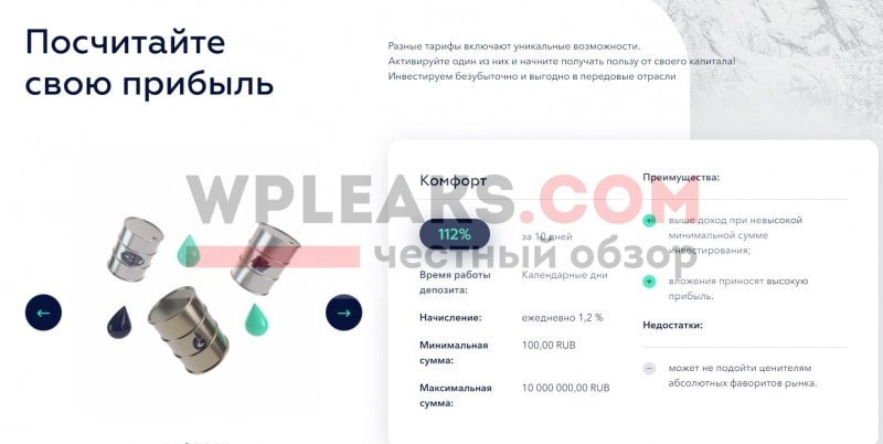 LTD Lion — Насколько безопасно сюда инвестировать?