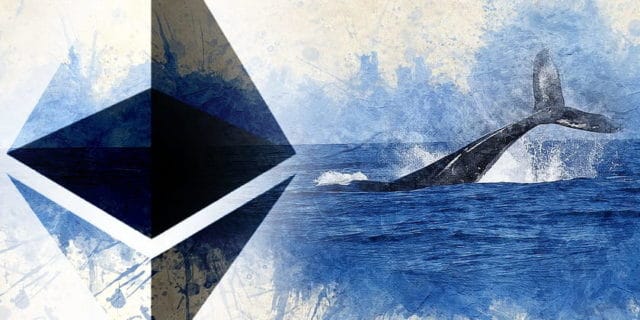 В сети Ethereum резко возросло число «китов» 