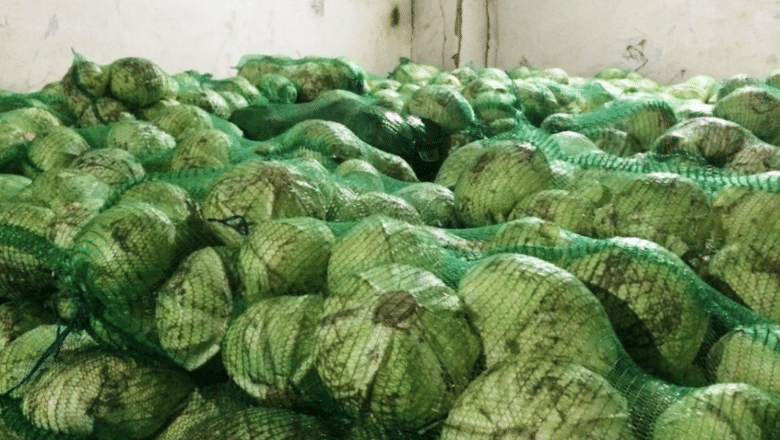 Свыше тонны овощей изъяли в школьных столовых Красноярска после отравления детей