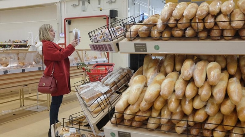 В России появятся мясо и хлеб из белка насекомых