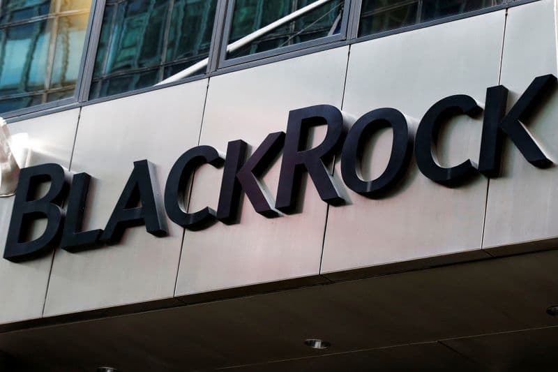 BlackRock: активы развивающихся рынков могут вырасти после неуверенного старта 2021г От Reuters