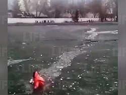 Парень утонул в пруду на северо-востоке Москвы, бросившись на помощь щенку