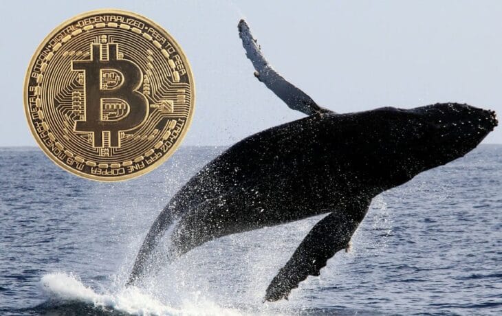 Мнения «китов» о перспективах биткоина разделились