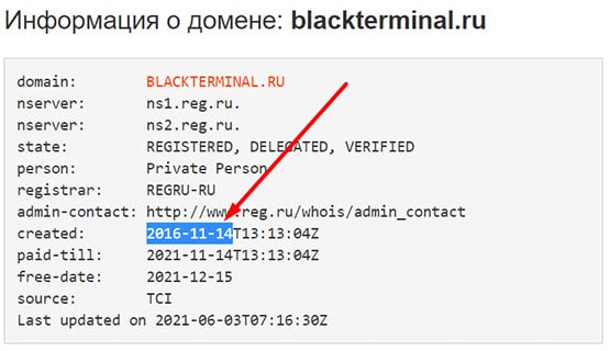 Обзор опасного проекта blackterminal. Можно ли доверять?