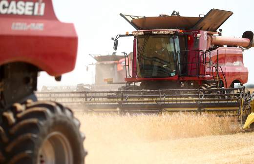Аналитики рассказали о пути достижения России первенства в экспорте зерна в мире