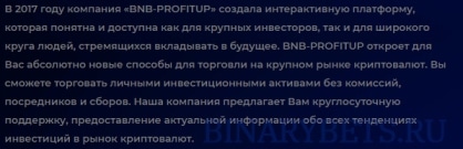 BNB-PROFITUP – ЛОХОТРОН. Реальные отзывы. Проверка