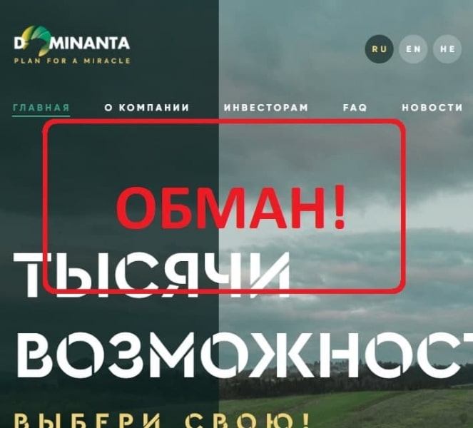 Группа компаний Dominanta — отзывы и обзор - Seoseed.ru