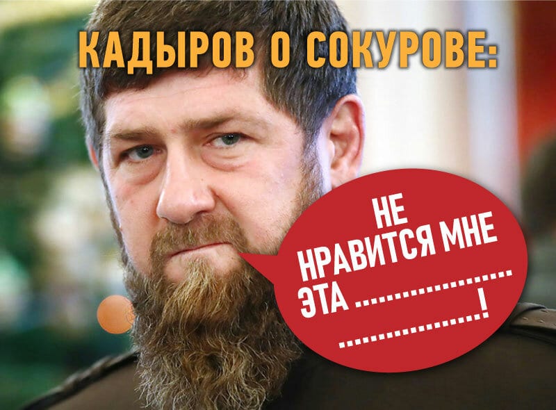 Кадыров должен извиниться перед Сокуровым?