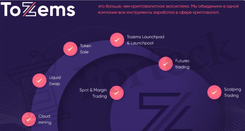 Tozems – экосистема будущего или очередной развод?