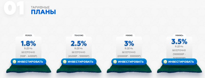 Справедливая оценка Bravia-Group: обзор маркетинга, отзывы