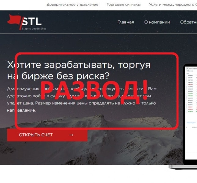 Step to Leadership отзывы 2022 — правда о компании - Seoseed.ru