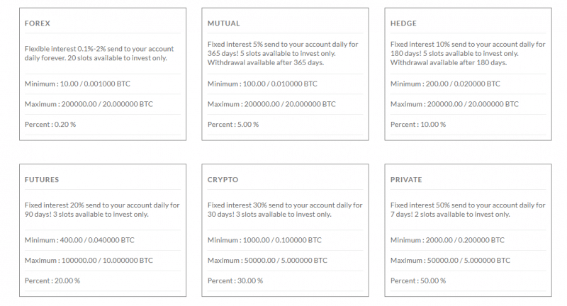 Экспертный обзор инвестиционного проекта BitWealth Company: отзывы клиентов и механизмы работы