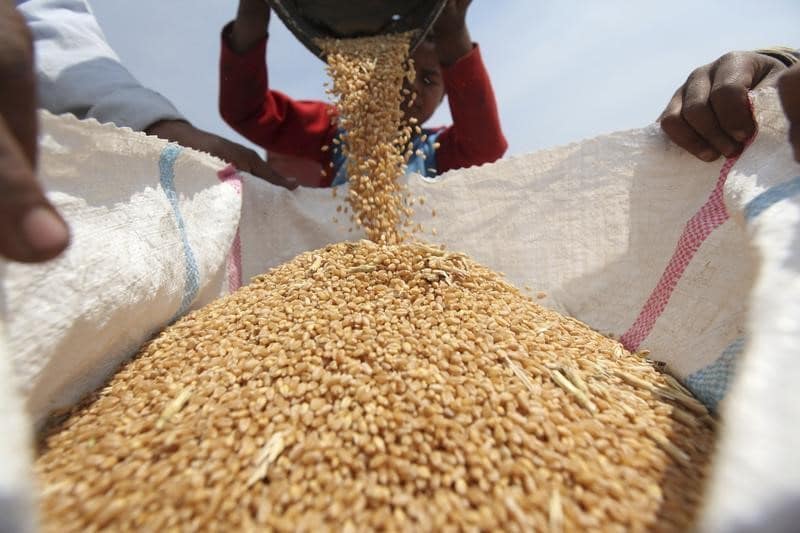 Индия запретила экспорт пшеницы для обеспечения продовольственной безопасности страны От IFX