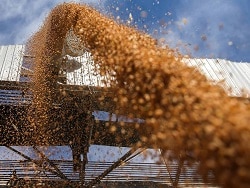Лавров: Москва и Анкара могут найти способ вывезти украинское зерно