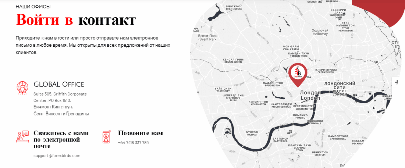 Обзор Forex Birds: торговые предложения форекс-брокера