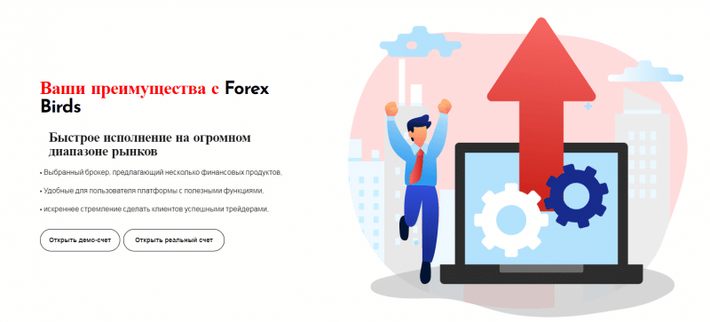 Обзор Forex Birds: торговые предложения форекс-брокера
