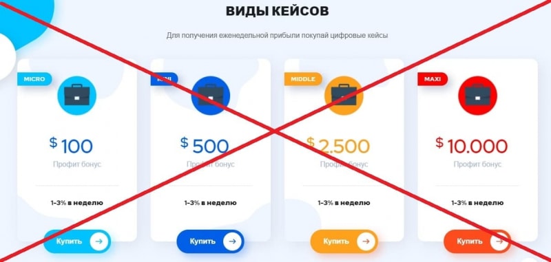 Trading Case (tradingcase.com) - reviews, review and verification - Seoseed.ru