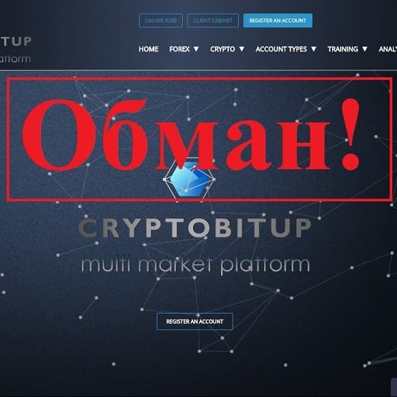 Cryptobitup: отзывы и обзор сайта cryptobitup.biz - Seoseed.ru