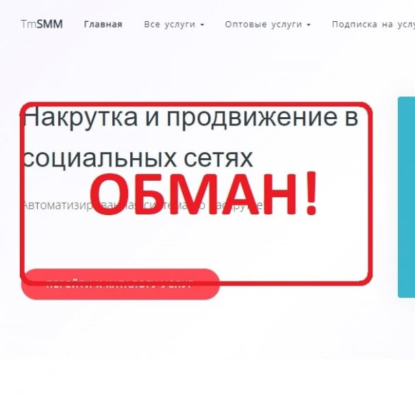 Накрутка лайков TmSMM — отзывы о компании tmsmm.ru - Seoseed.ru
