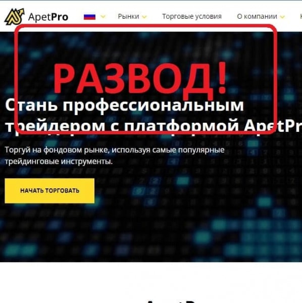 ApetPro отзывы о компании — что это? - Seoseed.ru