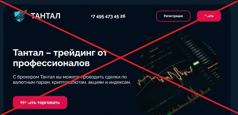 Брокеры Invista и Тантал — отзывы и обзор - Seoseed.ru