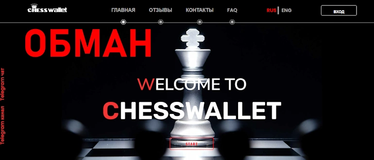 Chess wallet отзывы — chesswallet.cc