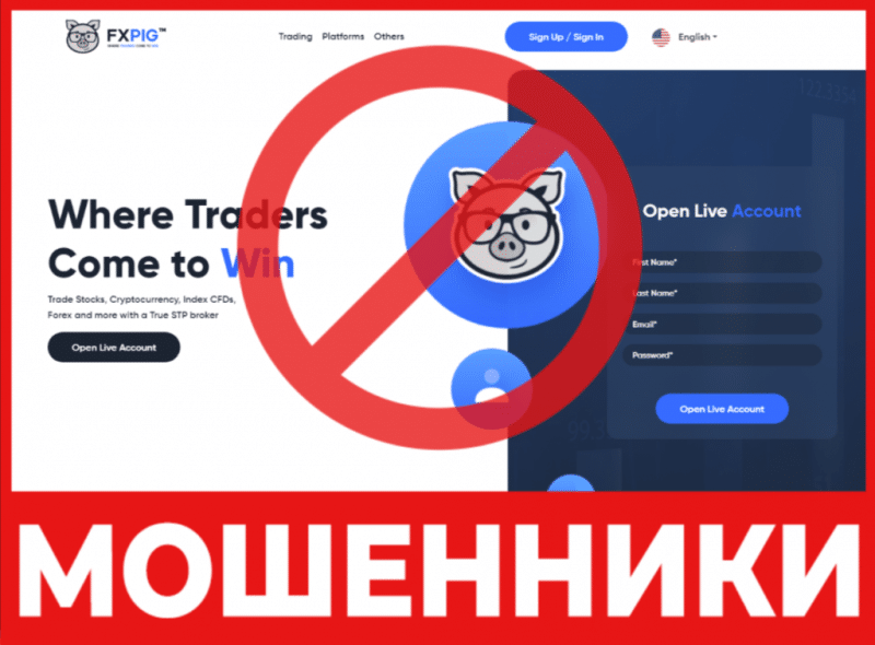 Брокер-мошенник FXPig – обзор, отзывы, схема обмана