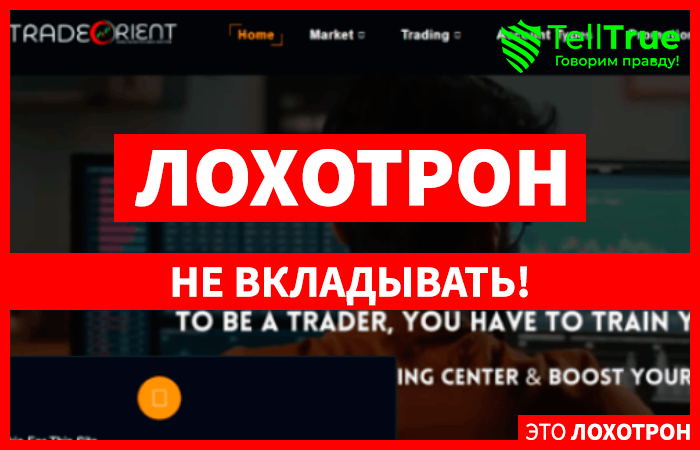 Trade Orient (tradeorient.com): обзор и отзывы