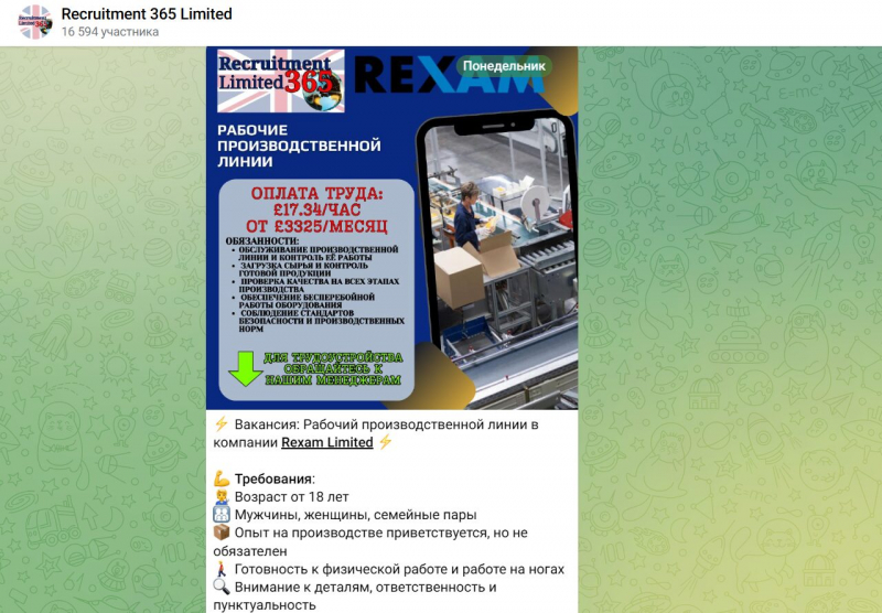 Поиск работы через Телеграмм Recruitment 365 Limited, отзывы